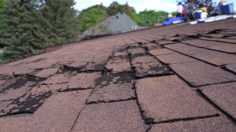 Best Cold Roofs  in Burley, WA