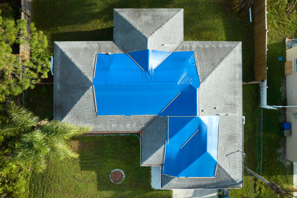 Best Roof Moss and Algae Removal  in Burley, WA