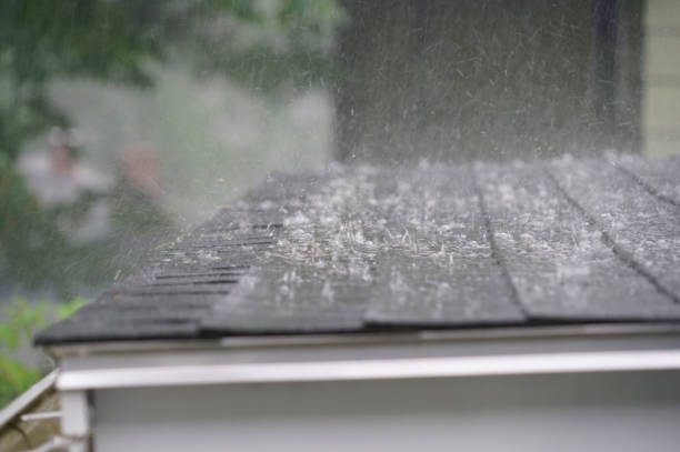 Reliable Burley, WA Roofing Service Solutions