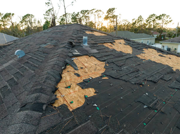 Best Rubber Roofing (EPDM, TPO)  in Burley, WA
