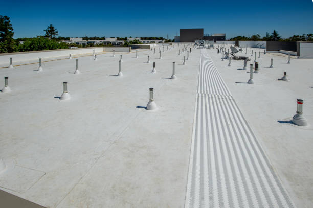 Best Roof Coating and Sealing  in Burley, WA